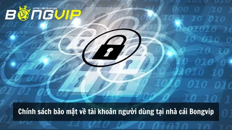 Chính sách bảo mật về tài khoản người dùng tại nhà cái Bongvip