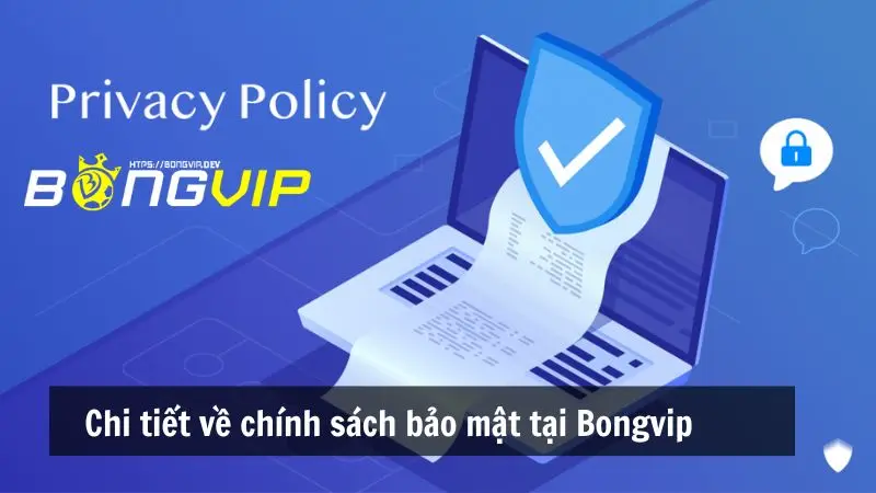 Chi tiết về chính sách bảo mật tại Bongvip